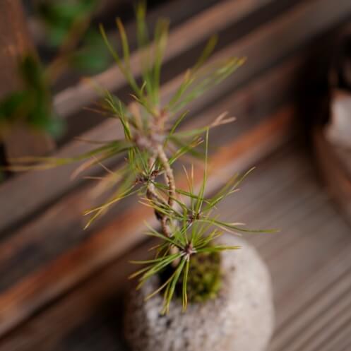 生花店「わたしのこころの花」